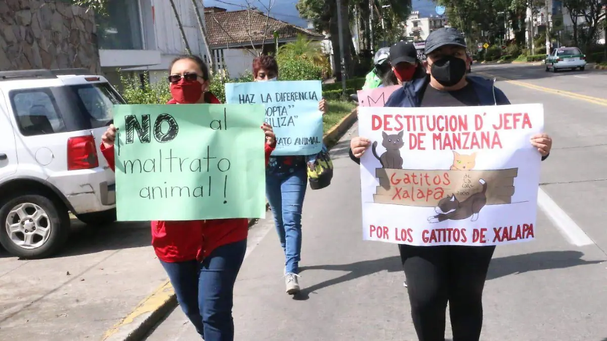 Animalistas Xalapa 